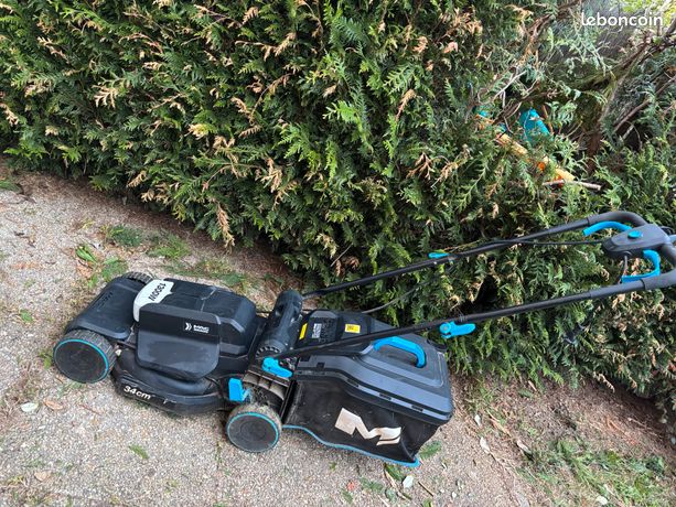 Tondeuse électrique