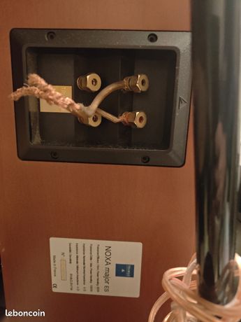 Triangle noxa major es