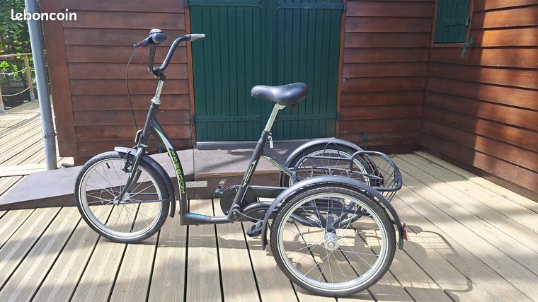 Tricycle Adulte