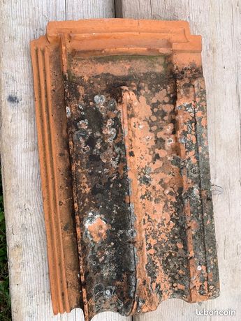 Tuile plate marseille st Henry