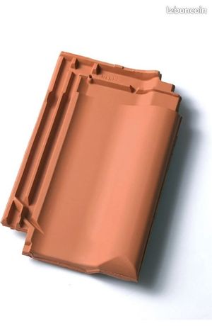 Tuiles / rive koramic panne