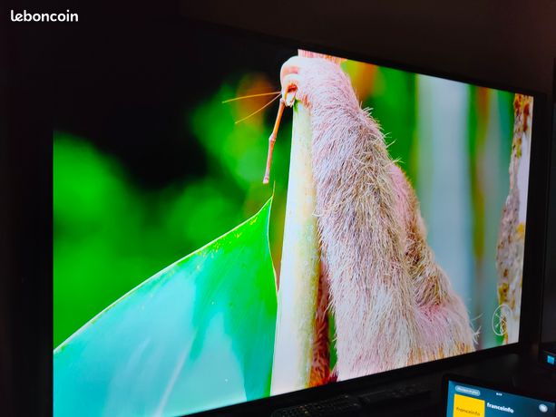 Tv 4K continental Edison 140cm