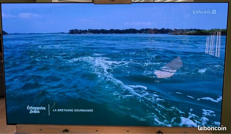 TV LG OLED 55G2 4K garantie