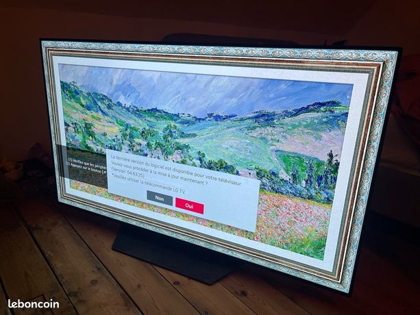 TV LG Oled 55pouces 55bx6