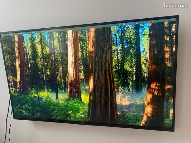 TV Sony KD-49XF7096 4K UHD + support mural inclus