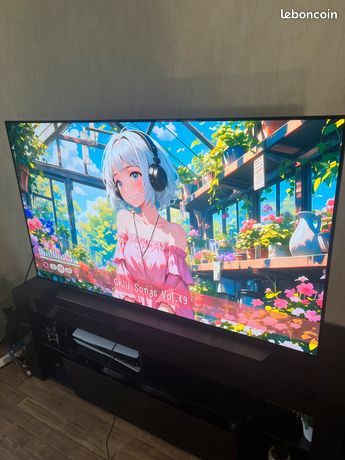 Tv oled 55cx