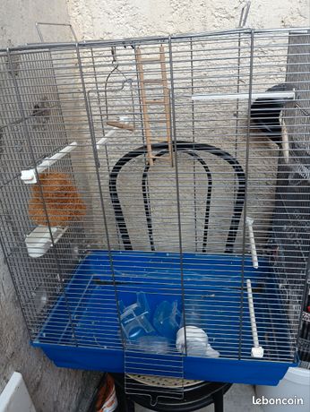 cage oiseaux