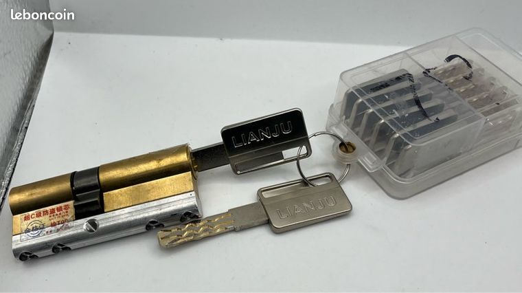 Vend serrure de porte à cylindre 40/40 avec 8 clés