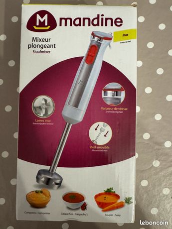 mixeur plongeant de la Mandine