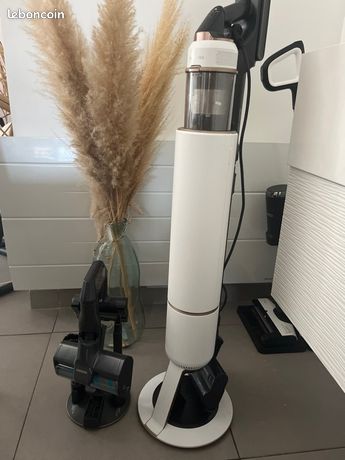 aspirateur SAMSUNG BESPOKE JET PLUS E VS20B95C43W