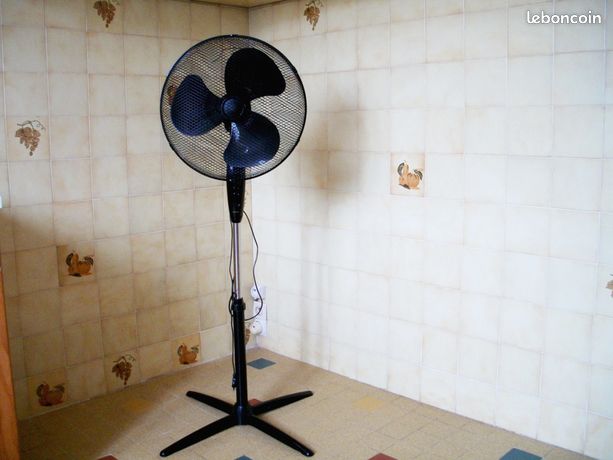 Ventilateur /