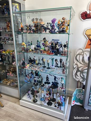 Vitrine pro en verres sur roulette RÉTIF