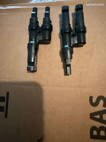 Y male et femelle MC4